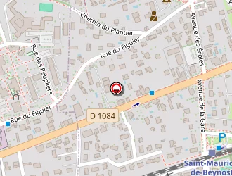 Carte de Madina à Saint-maurice-de-beynost