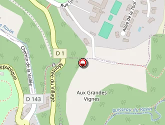 Carte de Lyon Artisans Courtage à Sathonay-camp