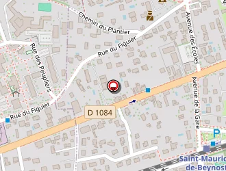 Carte de Odet Marjorie à Saint-maurice-de-beynost