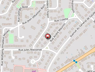 Carte de Lasram Khaled à Panazol