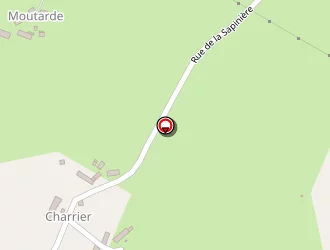 Carte de Multiservices Perrier Stéphane à Goutelle (la)