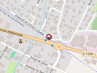 Carte de Discus à Saint-jorioz