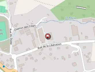 Carte de Ferraris Guy à Fontaines-sur-saône