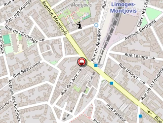 Carte de Lafleur Landry à Limoges