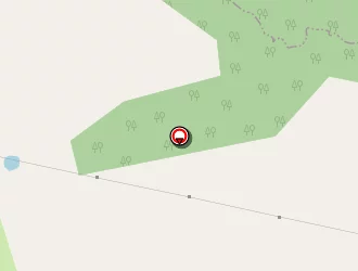 Carte de Marchard Raphaël à Pommiers