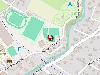 Carte de Desormais Anthony à Saint-jorioz