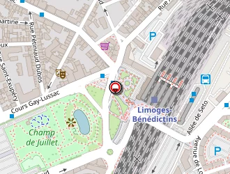 Carte de Naintre Alain à Limoges