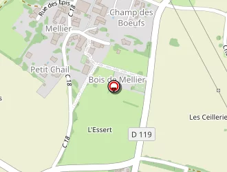 Carte de Vinet Samuel à Plassay