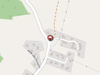 Carte de Cochet Patrick à Massingy