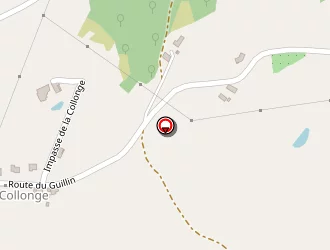 Carte de Chassagnel Michel à Affoux