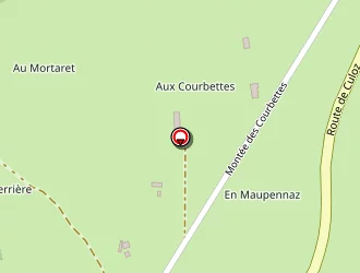 Carte de Maisons Simon Charvin à Ceyzérieu