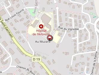 Carte de Studio Tattoo à Arbresle (l')