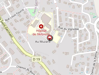 Carte de Giron Eric à Arbresle (l')