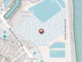 Carte de Les Mouettes à Saint-trojan-les-bains