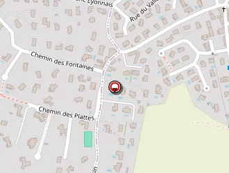 Carte de Rochelemagne Denis à Cailloux-sur-fontaines