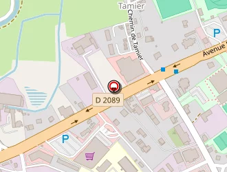 Carte de Société Vier à Thiers