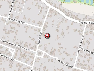 Carte de Musereau Eric à Bourcefranc-le-chapus