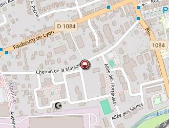 Carte de Roudil Cédric à Montluel