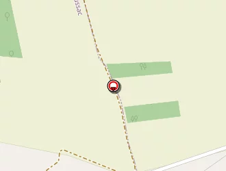 Carte de Demaille Moïse à Lussac