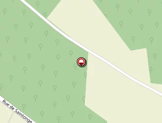 Carte de Vincent Jardin à Sainte-radegonde