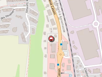 Carte de Garage Ford à Rumilly