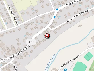 Carte de Chatanay Denis à Cailloux-sur-fontaines