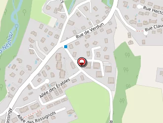 Carte de Cottereau Samuel à Rumilly