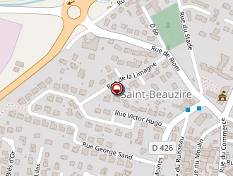 Carte de Vergnol Bruno à Saint-beauzire