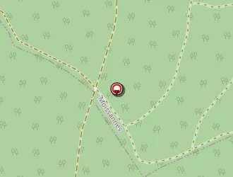 Carte de Ribiere Raymonde à Champnétery