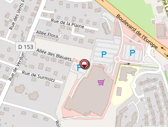 Carte de Ribes Serge à Rumilly