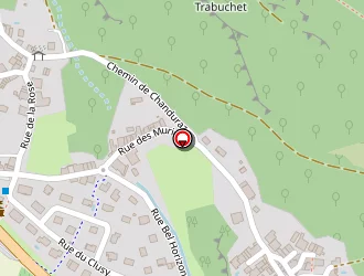 Carte de Berthet Charlotte à Béon