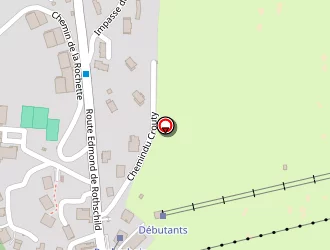 Carte de Restaurant Les Mandarines à Megève