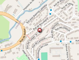 Carte de Mg 87 à Limoges