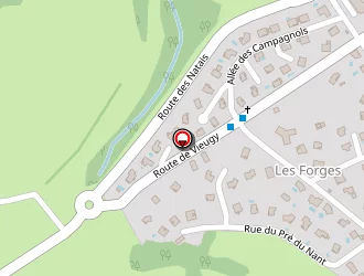 Carte de Angely Brigitte à Seynod