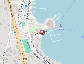 Carte de Godeux Piano à Sévrier