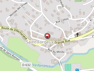 Carte de Géraldine Coiffure à Saint-forgeux