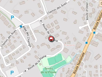 Carte de Burille Lionel à Megève