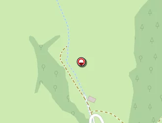 Carte de Chateau De Ronziere à Saint-forgeux