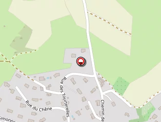 Carte de Mazard Thierry à Saint-forgeux