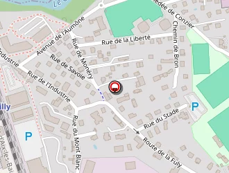 Carte de Daupeyroux Gérard à Rumilly