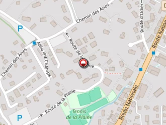 Carte de Club Des Sports à Megève