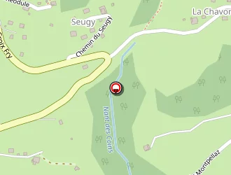 Carte de Viguier Maxime à Manigod