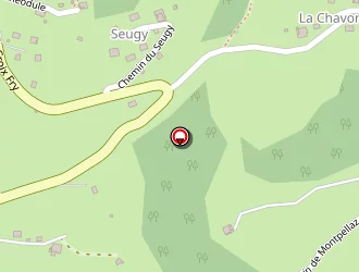 Carte de Veyrat Charvillon Philippe à Manigod