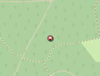 Carte de De Oliveira Pierre à Volvic