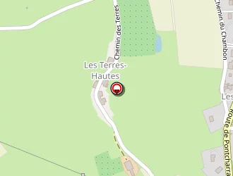 Carte de Gros Bernard à Saint-forgeux