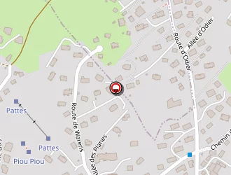 Carte de Allard Gilbert à Megève