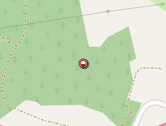 Carte de Thiers Polissage à Thiers