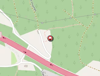 Carte de Bruchon Monique à Thiers