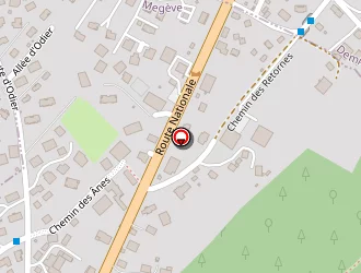 Carte de Affaire De Goût à Megève