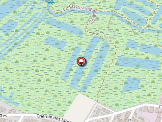 Carte de Massé Didier à Grand-village-plage (le)